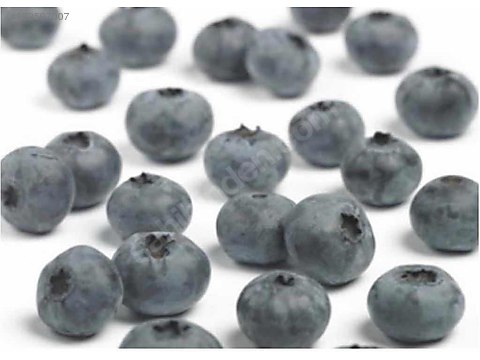 DONUK YABAN MERSİNİ 1KG